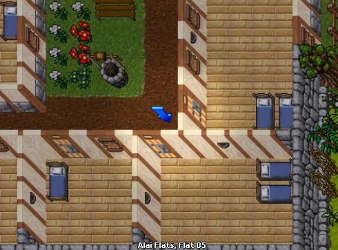 house image